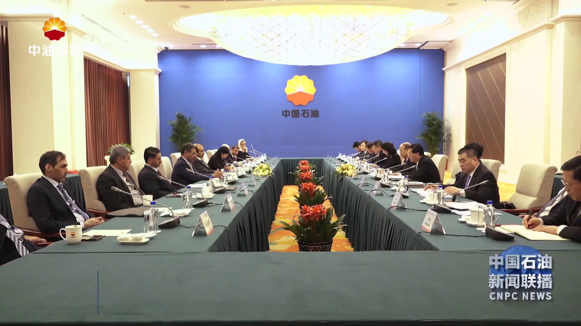 戴厚良会见卡塔尔能源事务国务大臣