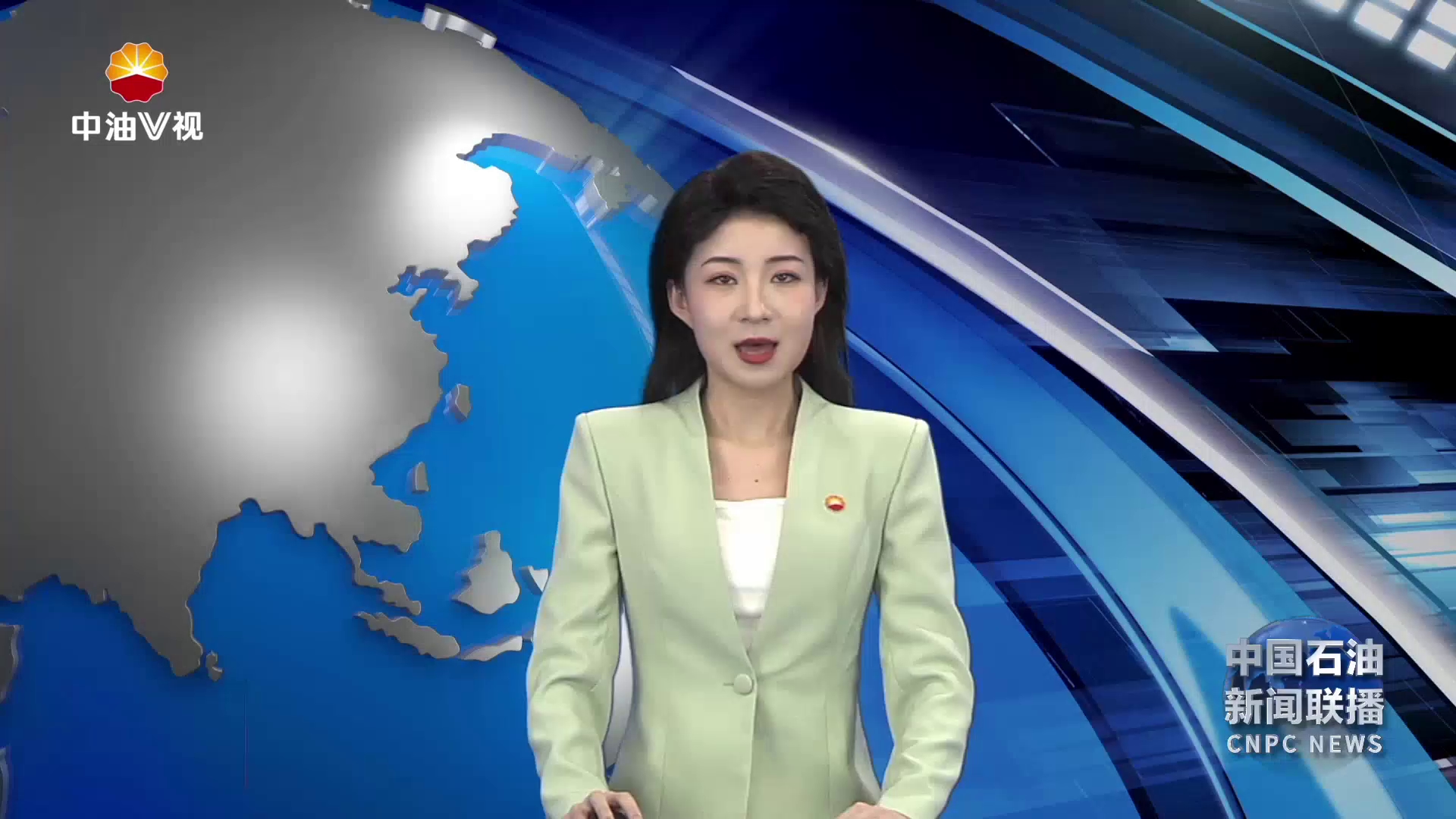 2024中非智库能源论坛在乍得成功举办